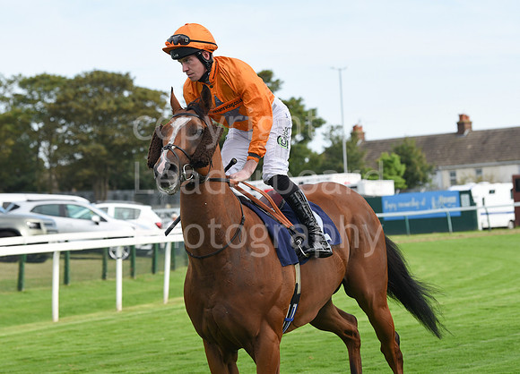 Gt_Yarm_Racing_16_Aug_2023-131