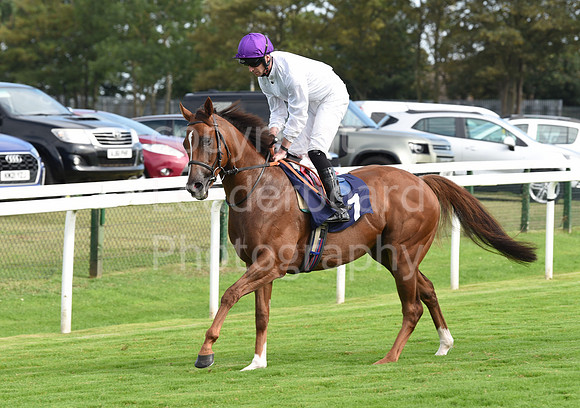 Gt_Yarm_Racing_16_Aug_2023-134
