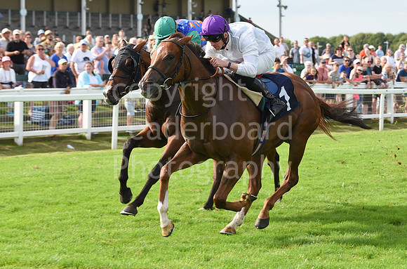 Gt_Yarm_Racing_16_Aug_2023-149