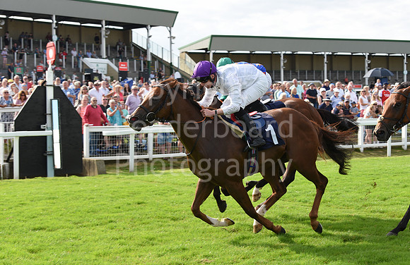 Gt_Yarm_Racing_16_Aug_2023-151