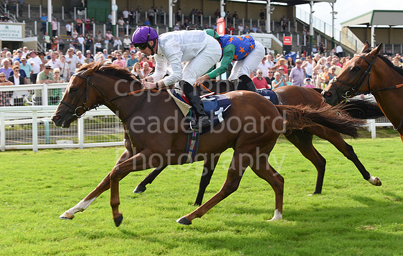Gt_Yarm_Racing_16_Aug_2023-152