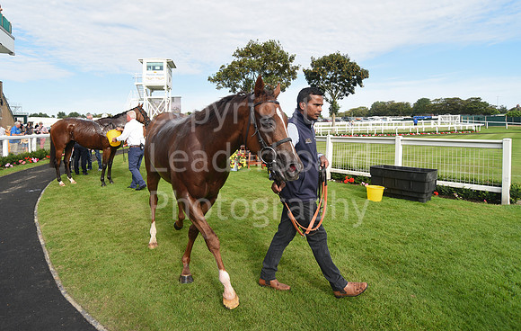 Gt_Yarm_Racing_16_Aug_2023-157