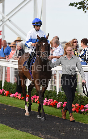Gt_Yarm_Racing_16_Aug_2023-163