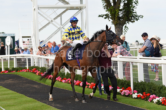 Gt_Yarm_Racing_16_Aug_2023-171