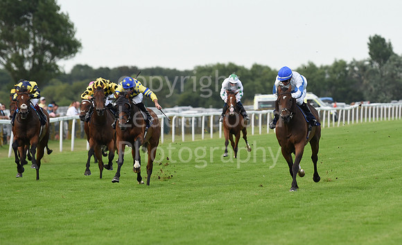 Gt_Yarm_Racing_16_Aug_2023-177