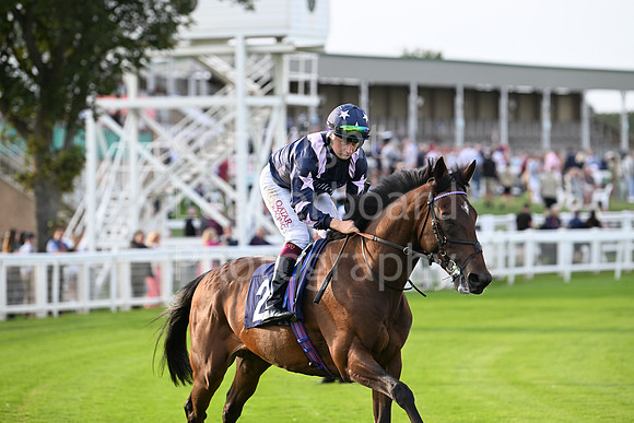 Gt_Yarm_6_Aug_2025-135