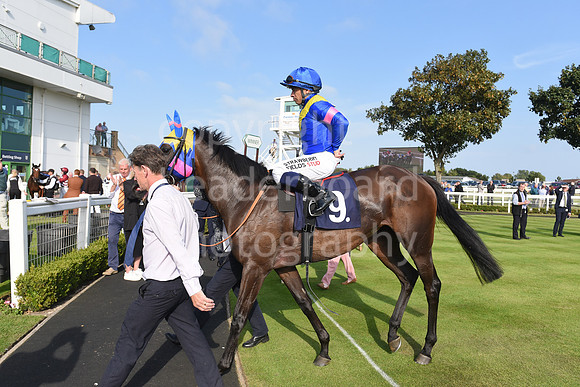 Gt_Yarm_Eastern_Fest_18_Sept_2024-175