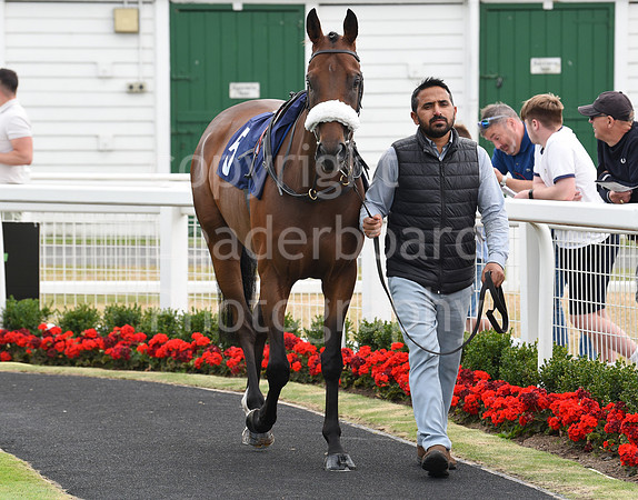 Gt_Yarm_26_July_2022-131