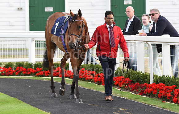 Gt_Yarm_3_Aug_2022-106
