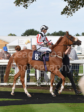64_GY_Races_20Aug