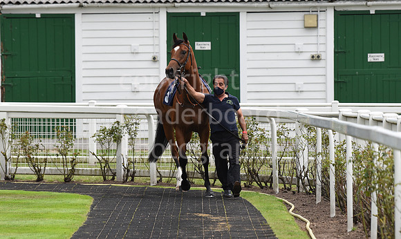 Great_Yarm_Racing_15July-105