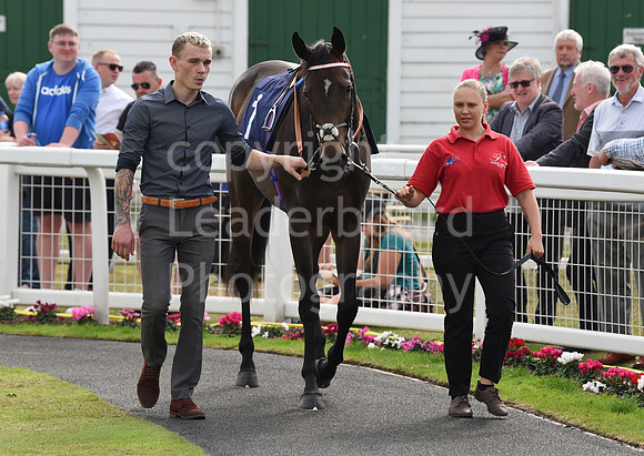 Gt_Yarm_Eastern_Fest_Day_3-25