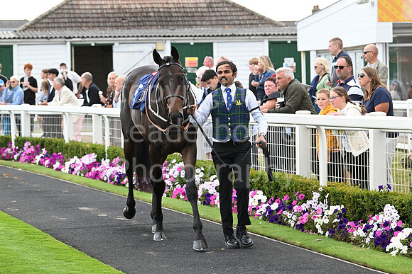 Gt_Yarm_24_Aug_2025-36