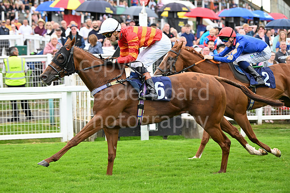 Gt_Yarm_3_Aug_2025-169
