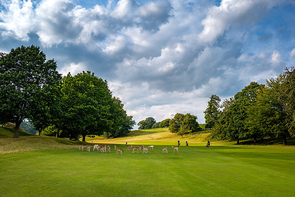 LBP_Champion_Club_Knole-27
