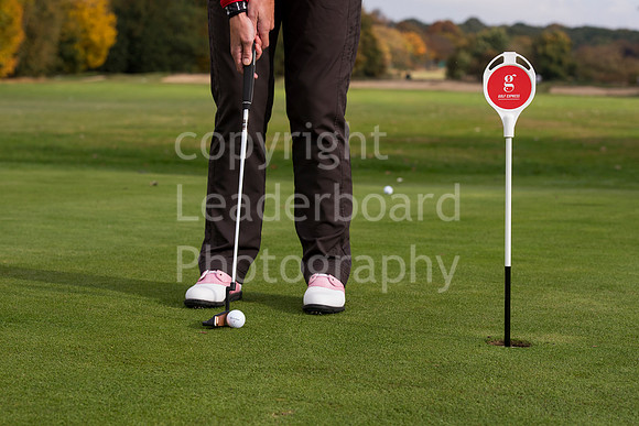 NB_113_Bromley_9_Hole