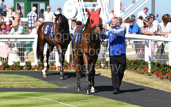 Gt_Yarm_Races_10_Aug_2022-35