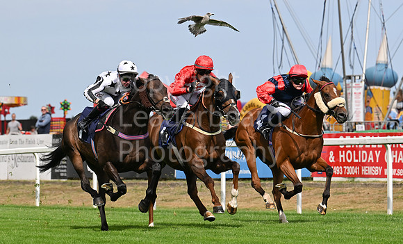 Gt_Yarm_24_Aug_2025-21