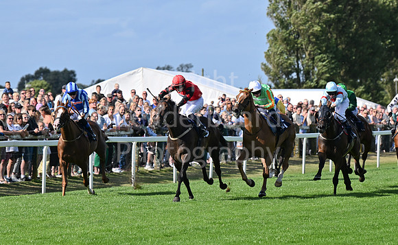 Gt_Yarm_25_Aug_Family_Raceday_2024-105