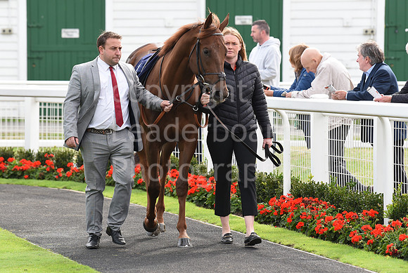 Gt_Yarm_25th_Sept_2022-32
