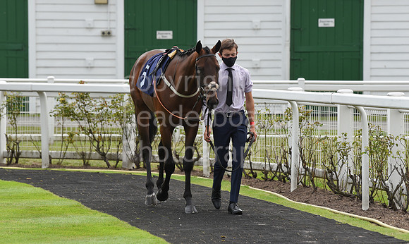 Great_Yarm_Racing_15July-59