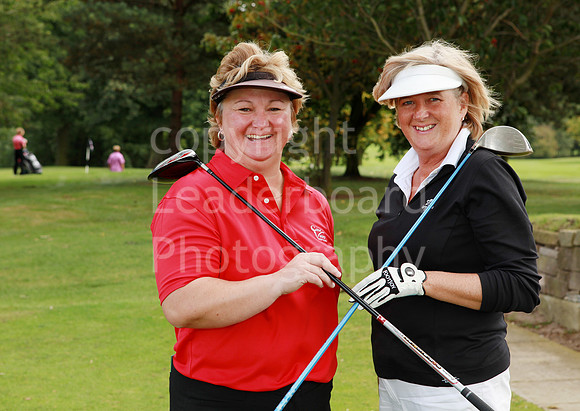 LB_014_Ping_Plate_2009