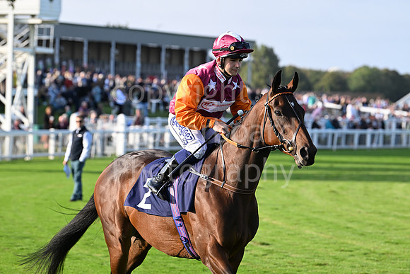 Gt_Yarm_Eastern_Fest_18_Sept_2024-228