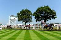 GY_Races_25_July-7