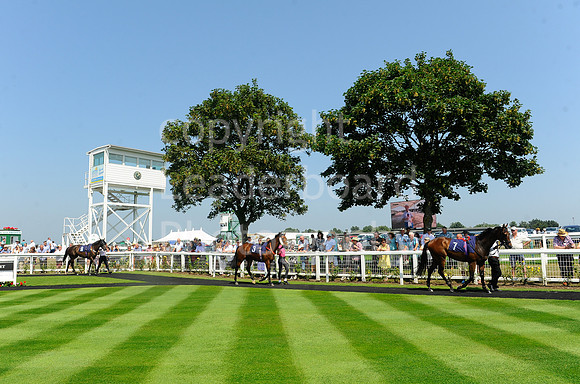 GY_Races_25_July-7