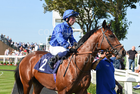 Arabic_Art_16_Aug_2023-1