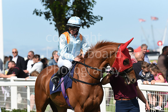 Gt_Yarm_Family Funday_27_Aug_2023-25