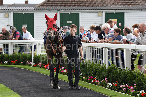 Gt_Yarm_Family Funday_27_Aug_2023-133