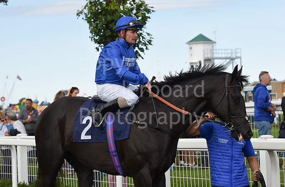 Gt_Yarm_Family Funday_27_Aug_2023-147