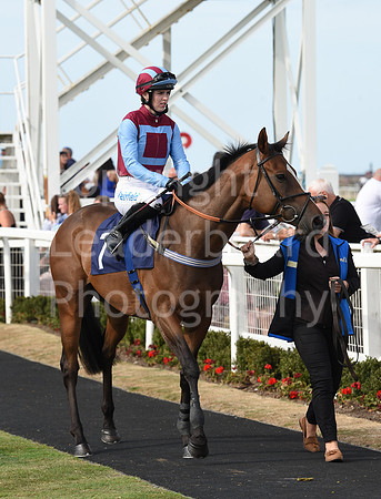 Gt_Yarm_21_Aug_2022-169