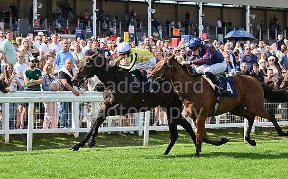 Gt_Yarm_25_Aug_Family_Raceday_2024-73
