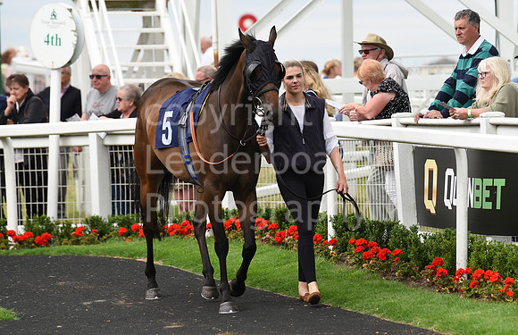 Gt_Yarm_06_July_2022-162