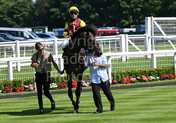 Gt_Yarm_July_30_2024-177