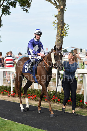 Gt_Yarm_21_Aug_2022-171