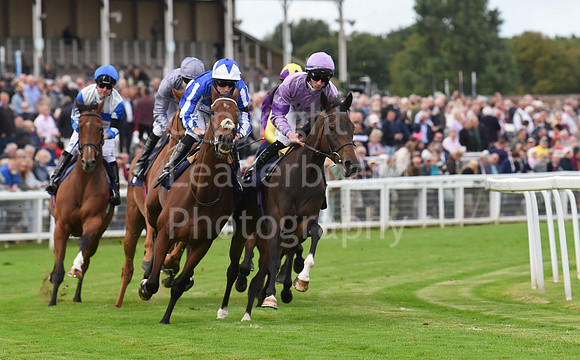 Gt_Yarm_15_Sept_2022-136
