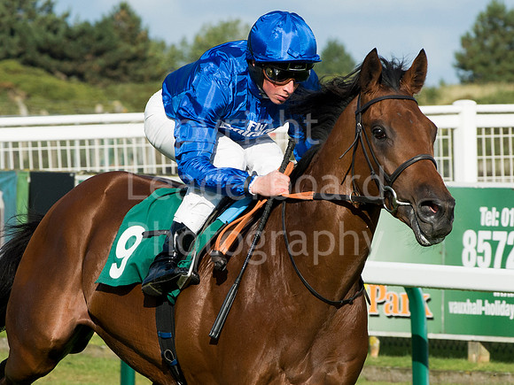 LB_GY_races_10_10_2016_0070