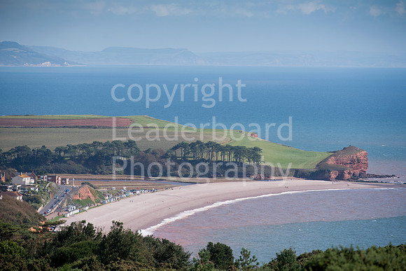 NBJ_6681_Champion_2017_Club