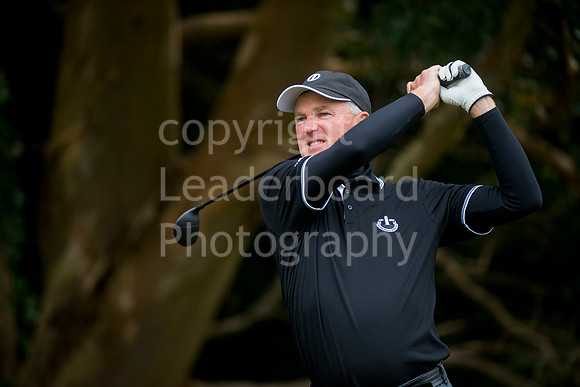 NBJ_7587_Champion_2017_Club