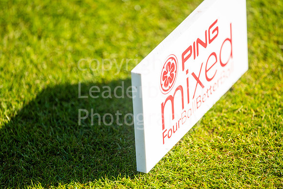 SAP_2023_PIng_MIxed_Final-27