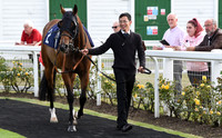 04_GY_Races_20Aug