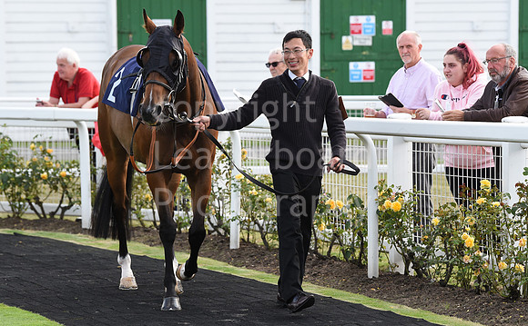 04_GY_Races_20Aug