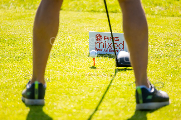 SAP_2023_PIng_MIxed_Final-45
