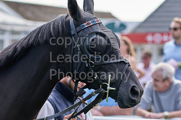 Great Yarmouth  Race Six 11th Aug 2021 0438