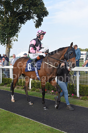 Gt_Yarm_Eastern_Fest_18_Sept_2024-190