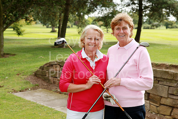 LB_020_Ping_Plate_2009