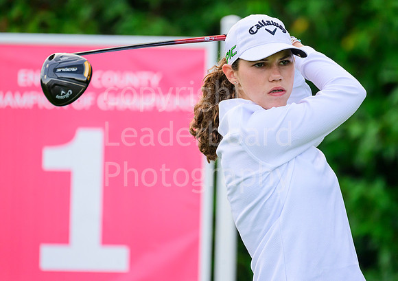 LBM_0943